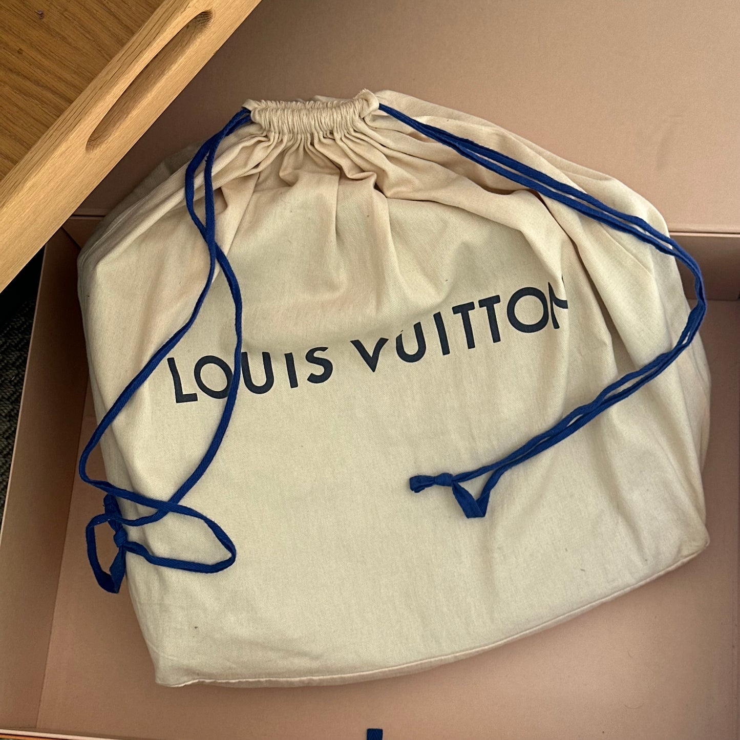 Louis Vuitton Palk Brown Monogram Backpack