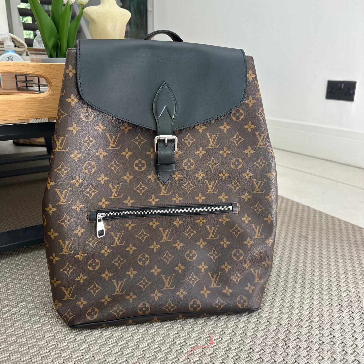 Louis Vuitton Palk Brown Monogram Backpack