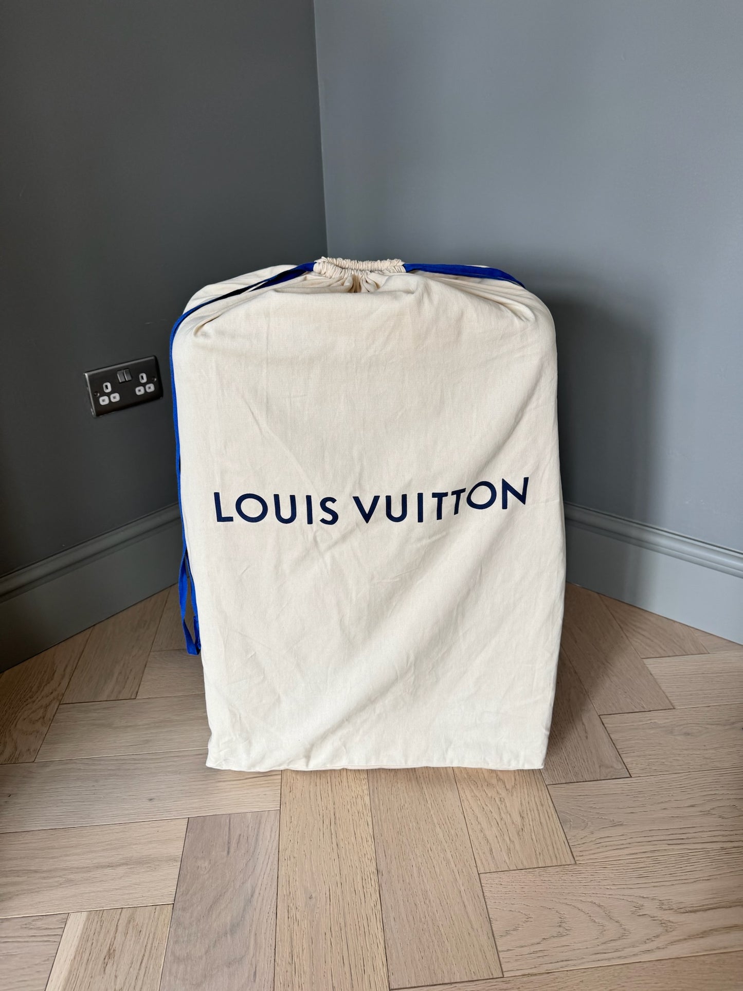 Louis Vuitton Horizon 70 suitcase